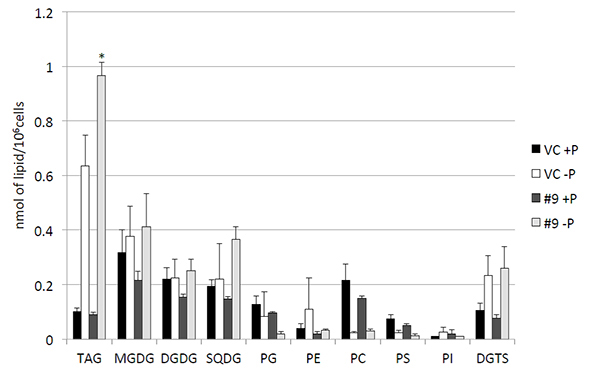 Genetic manipulation for algal biofuel production