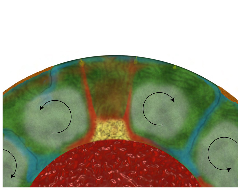 New model for deep mantle conveyor belt system at the core of the Earth