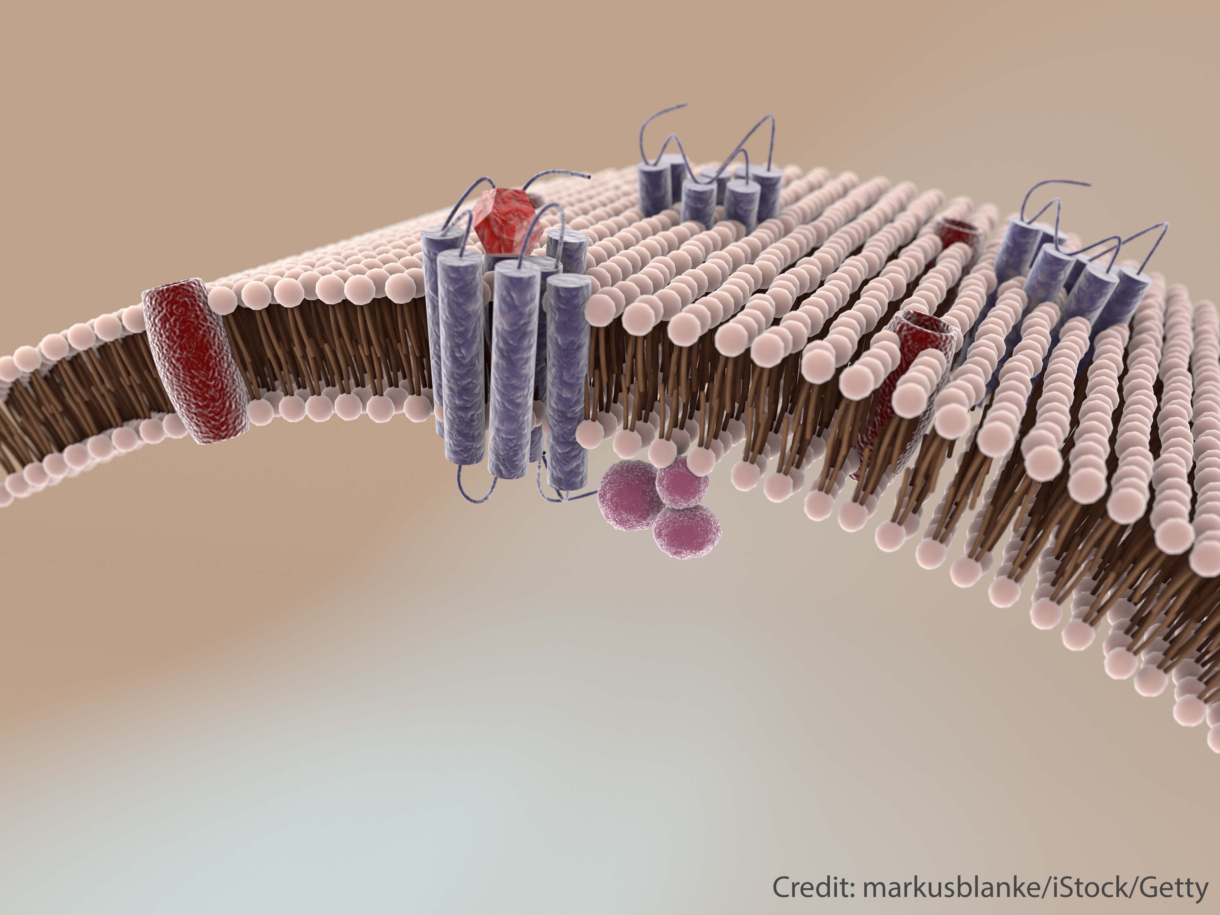 Building artificial cells