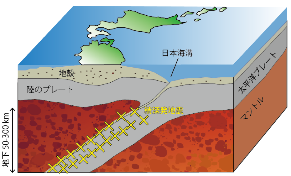 Intermediate-depth earthquakes linked to localized heating in dunite and harzburgite