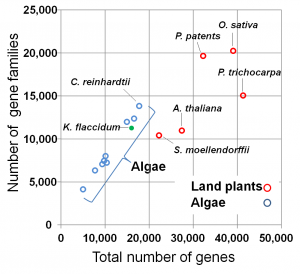 fig2-300x274.png