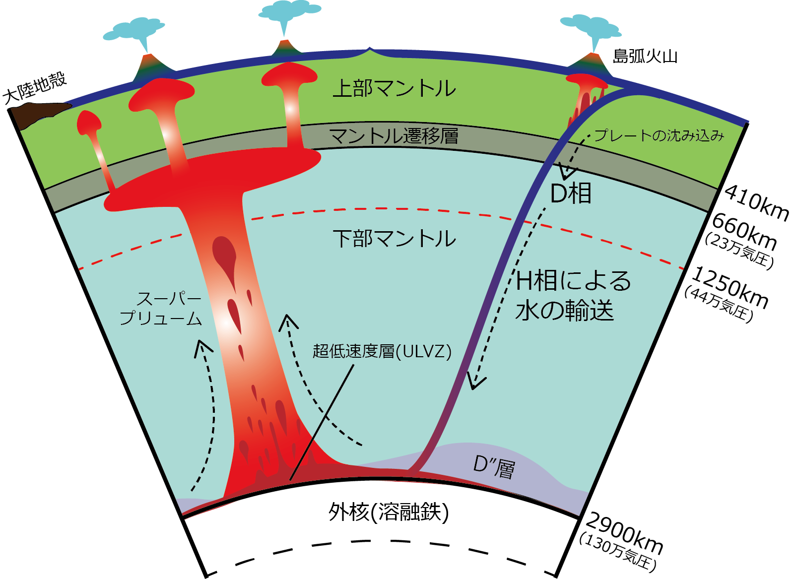 マントル深部における新しい含水鉱物H相の理論計算