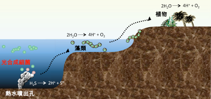 硫化水素に応答して遺伝子発現を調節するタンパク質を発見 －硫化水素バイオセンサーの開発に道－