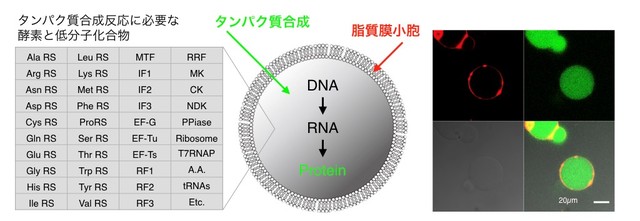 車_図1.jpg